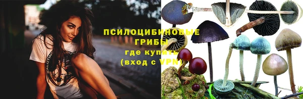 прущие грибы Нязепетровск