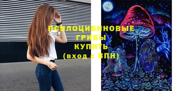 прущие грибы Нязепетровск