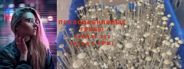 мескалин Няндома