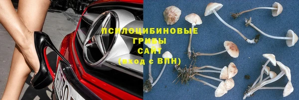 мет Новозыбков