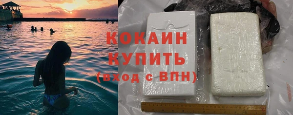 мет Новозыбков