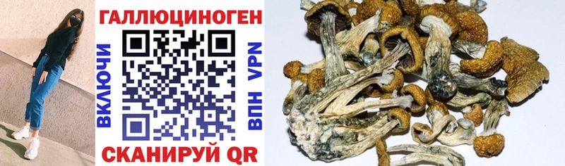 купить наркотик  Островной  это состав  Псилоцибиновые грибы Cubensis 